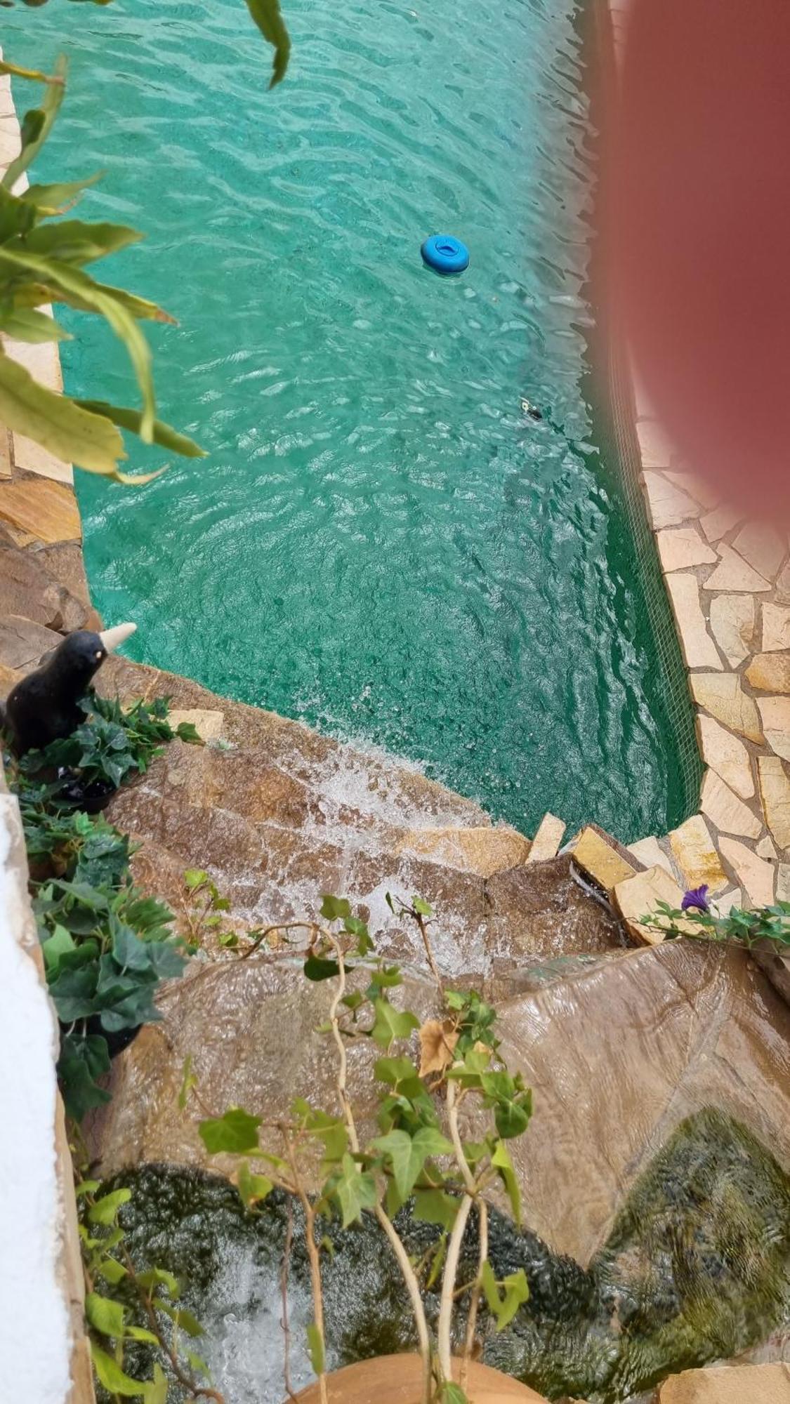 Apartament La Buena Vida. Malaga Zewnętrze zdjęcie